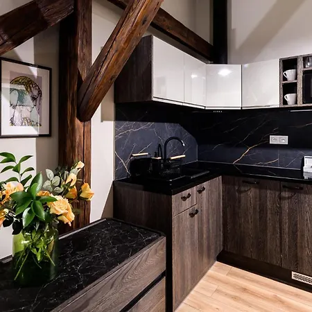 Arianska 16 By Nearto Pl 4* Cracovie