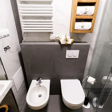 Arianska 16 By Nearto Pl מלון דירות קרקוב